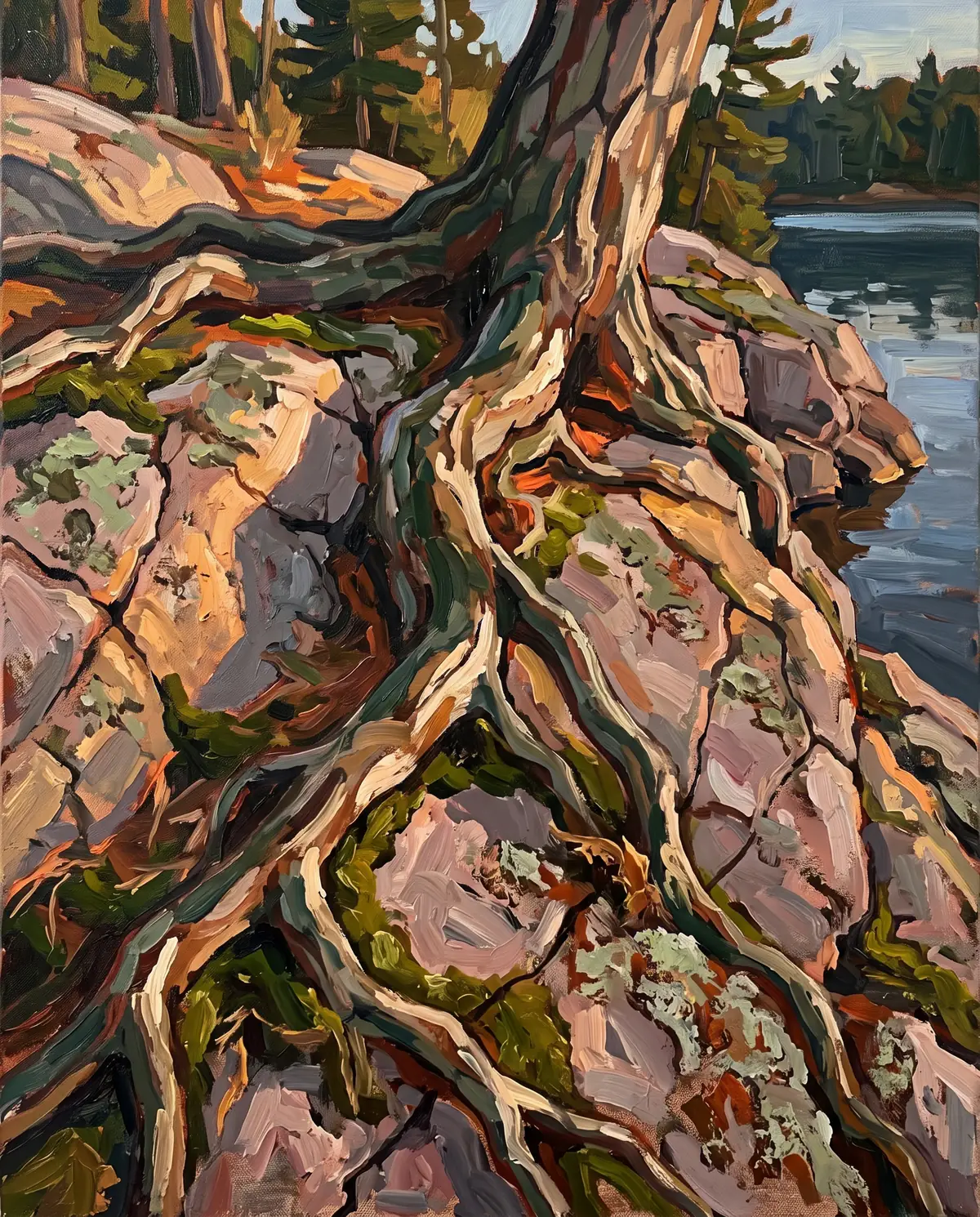 Oil painting of white pine roots gripping pink-grey granite at the edge of a lake